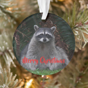 Merry Christmas Cute Forest Raccoon Ornament