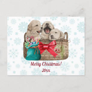Merry Christmas Cute Golden Retriever Puppies Holiday Postcard