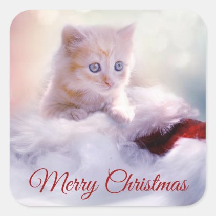 Merry Christmas Cute Kitten Santa Hat Stickers