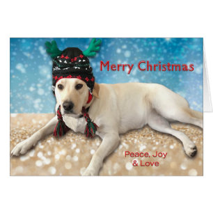 Merry Christmas Cute Lab Dog Lab with Antlers Cards