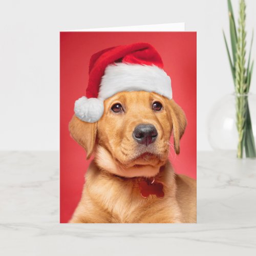 Merry Christmas Cute Labrador Puppy in Santa Hat Holiday Card