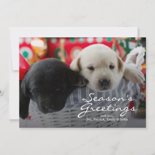 Merry Christmas _ cute puppies in a gift Holiday Card