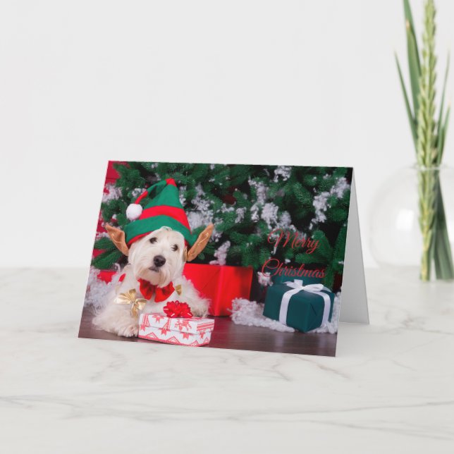 Merry Christmas Cute Puppy in Elf Costume Card (Front)