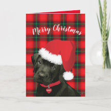 Merry Christmas Cute Puppy with Santa Hat Love