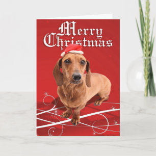 Merry Christmas Dachshund Card