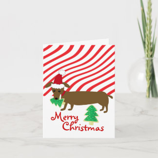 Merry Christmas Dachshund Holiday Card