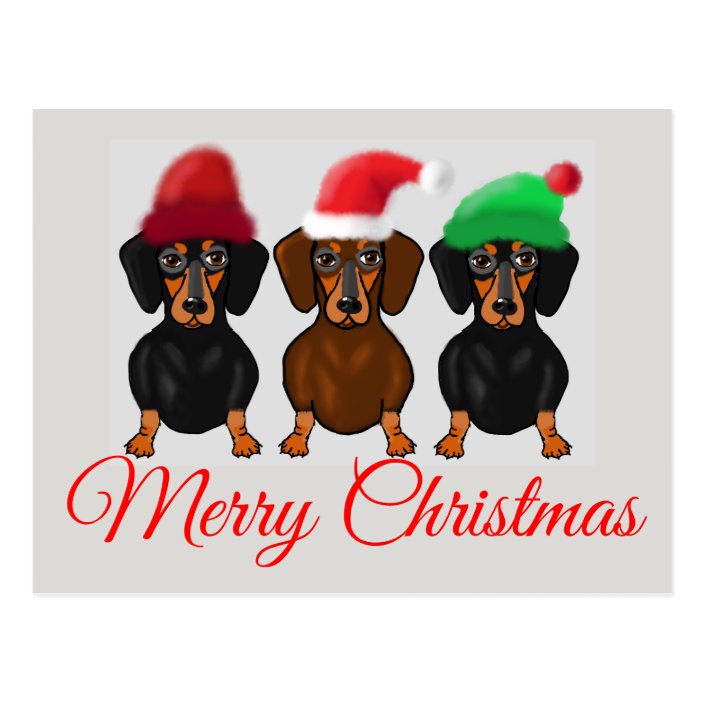 merry christmas dachshund
