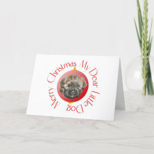 Merry Christmas Dear Little Rescued Dog Holiday Card