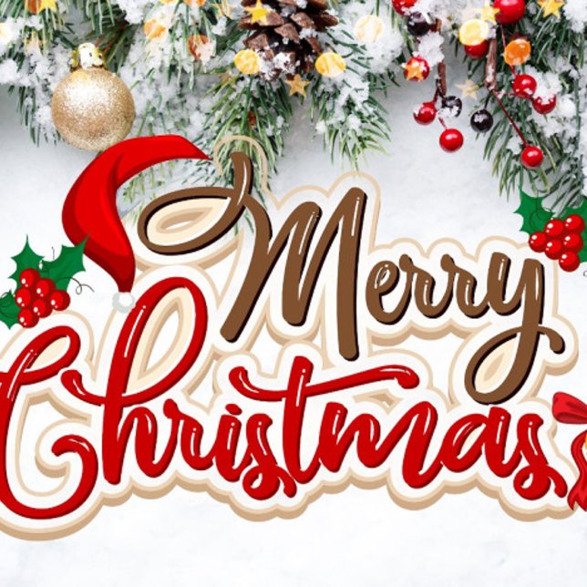 Merry Christmas Decorated Drinkware Set Whiskey Glass (Merry Christmas Holiday Drinking Glasses!)