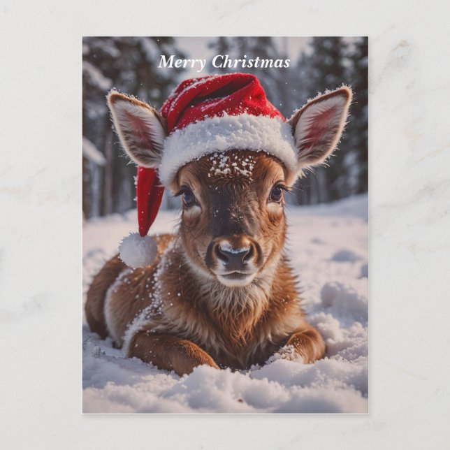 Merry Christmas Deer Holiday Postcard (Front)