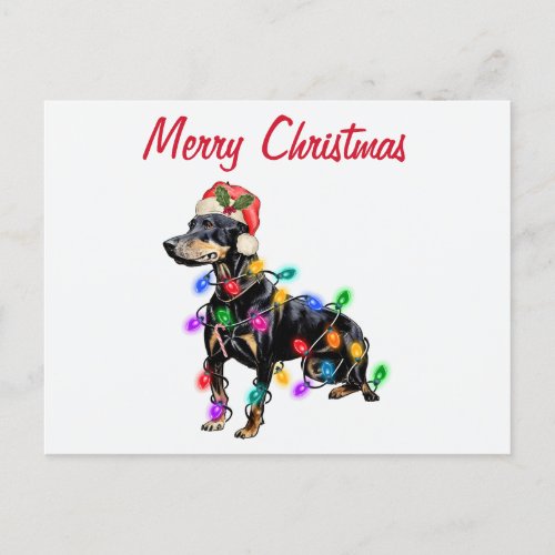 Merry Christmas Doberman Dog in Santas Hat Holiday Postcard