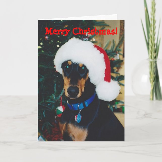 Merry Christmas! Doberman Greeting Card (Front)