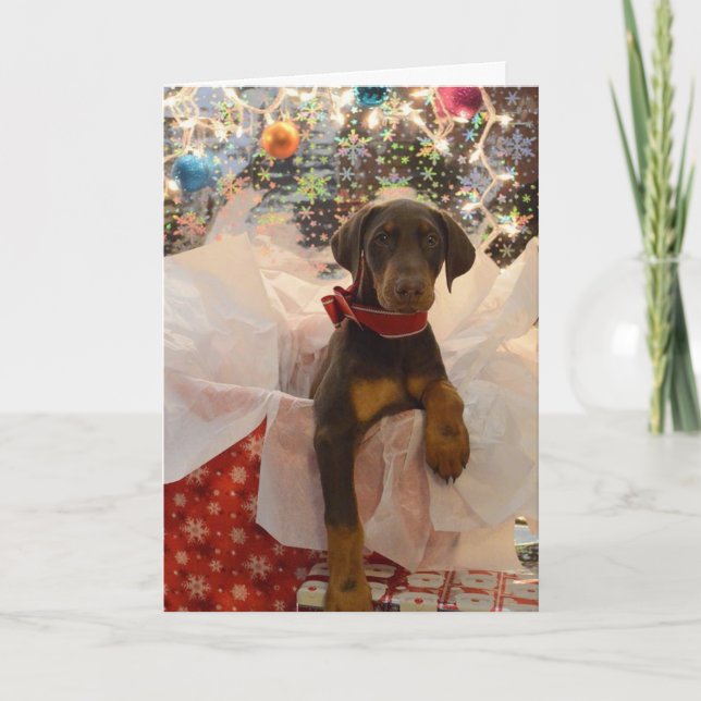 Merry Christmas Dobie Pup Holiday Card (Front)