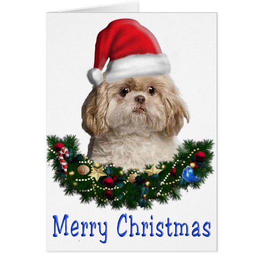 Merry Christmas Dog card (Front)