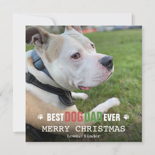 Merry Christmas Dog Dad From The Dog Photo Flat Holiday Card