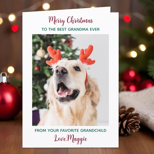 Merry Christmas Dog Grandma Personalized Pet Photo Holiday Card (Creator Uploaded)