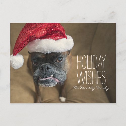 Merry Christmas Dog Holiday Postcard