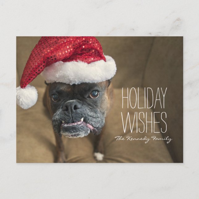Merry Christmas Dog Holiday Postcard (Front)