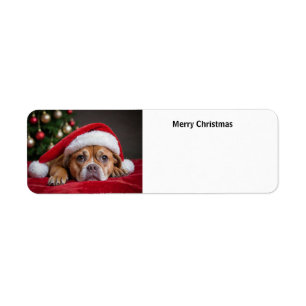 Merry Christmas Dog Label