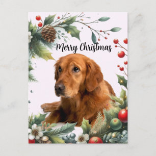 Merry Christmas Dog Lover Golden Retriever Postcard