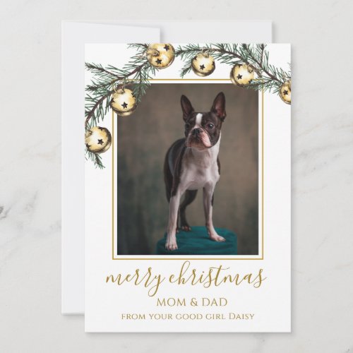 Merry Christmas Dog Photo Card From The Dog