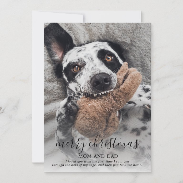 Merry Christmas Dog Photo Greeting From Rescue Dog Holiday Card