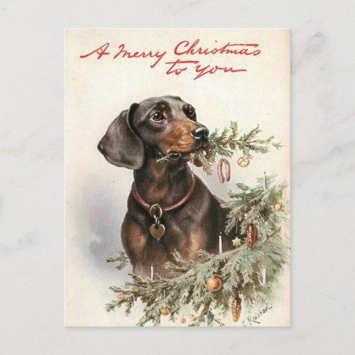 Merry Christmas dog Teckel Postcard