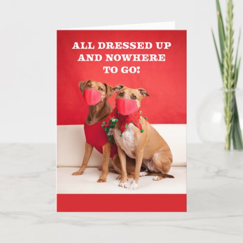 Merry Christmas Dogs in Coronavirus Face Masks Holiday Card