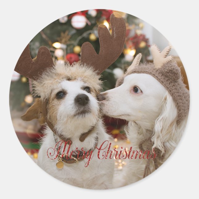 Merry Christmas, Dogs In Love Classic Round Sticker (Front)