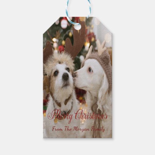 Merry Christmas Dogs In Love Gift Tags