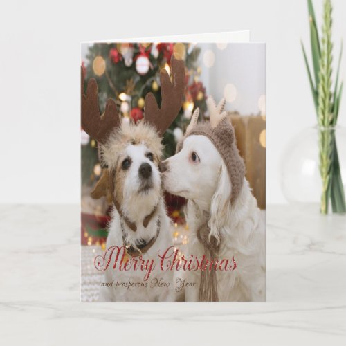 Merry Christmas Dogs In Love Holiday Card