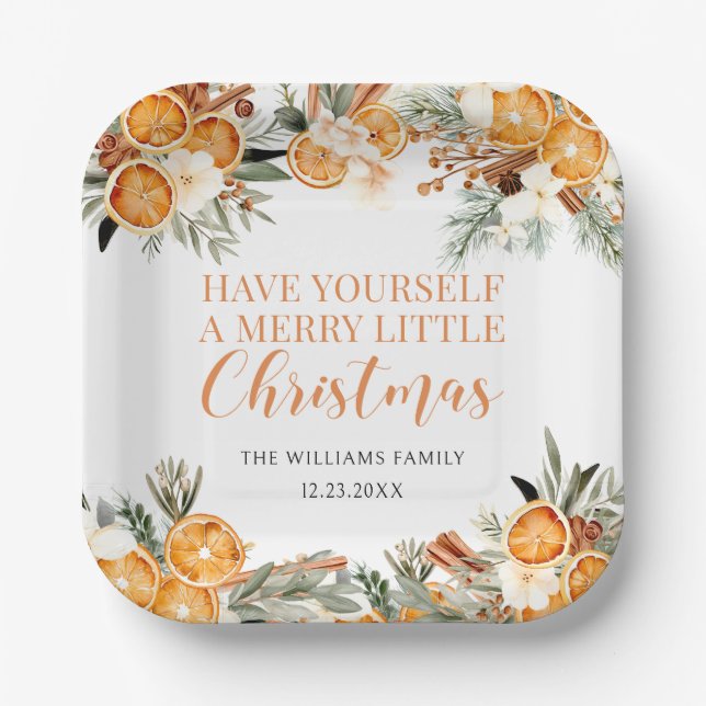 Merry Christmas dried winter oranges Paper Napkins Paper Plates (Front)