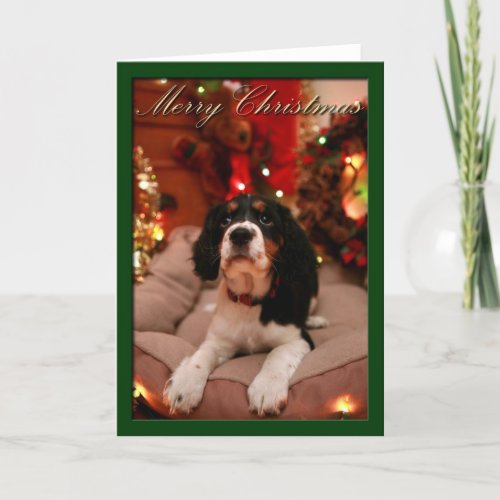 Merry Christmas English Springer Spaniel Springer Holiday Card
