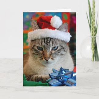 Merry Christmas (even if you're naughty) Holiday Card