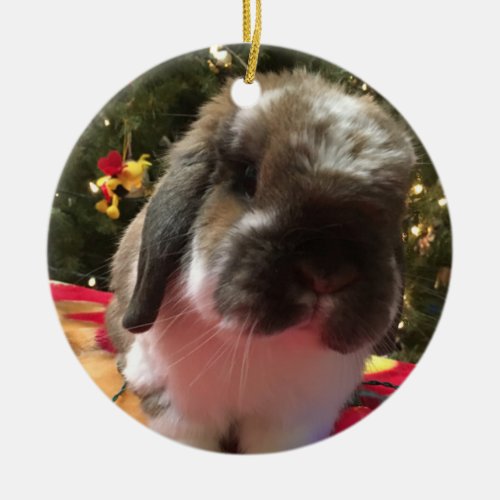 Merry Christmas every bun Ceramic Ornament