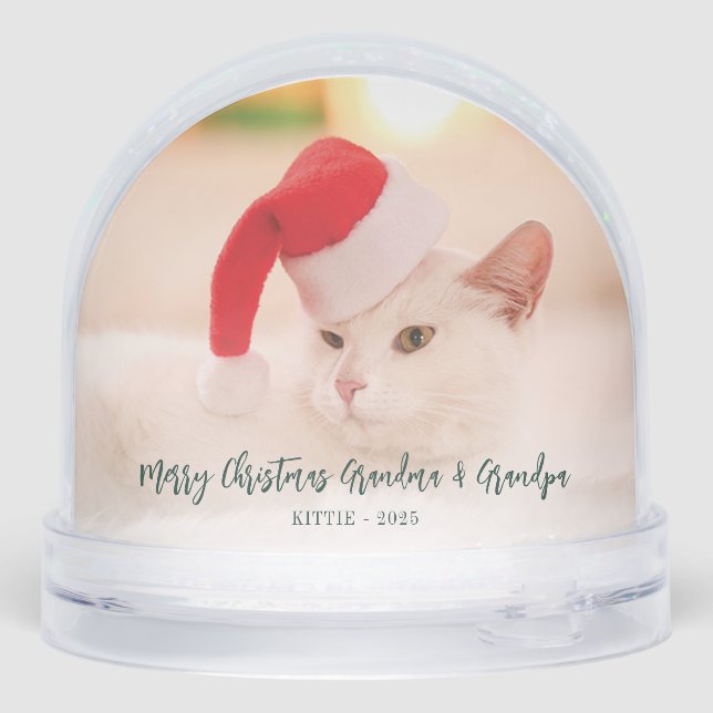 Merry Christmas Family Cat Photos Grandparents Snow Globe (Back)