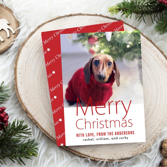 Merry Christmas Family Pet Holiday Card (Creator Uploaded)