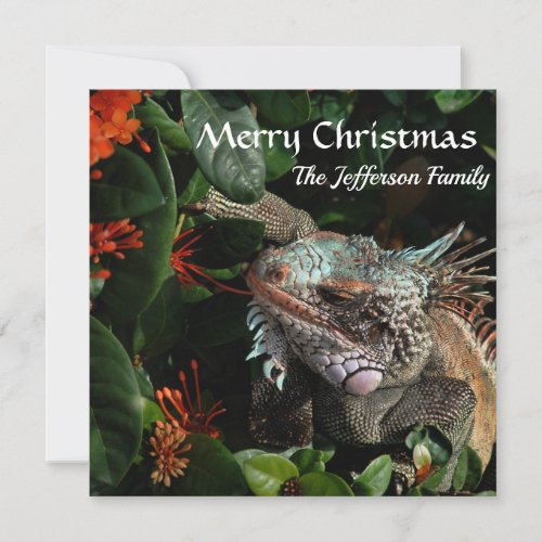 Merry Christmas Family Pet Iguana Custom Card