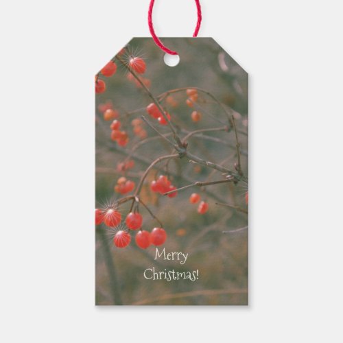 Merry Christmas Festive Red Berries Photo Gift Tag