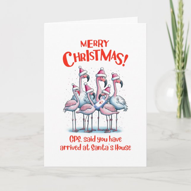 Merry Christmas Flamingos Visiting Santa Program (Front)