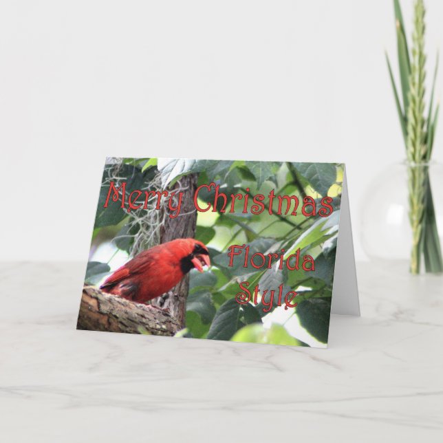 Merry Christmas, Florida Style Holiday Card (Front)
