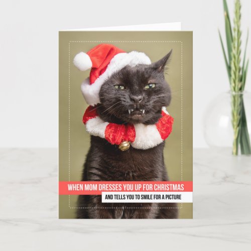 Merry Christmas For Anyone Cat in Santa Hat Holiday Card
