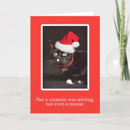 Merry Christmas For Anyone Cat in Santa Hat Humor Holiday Card