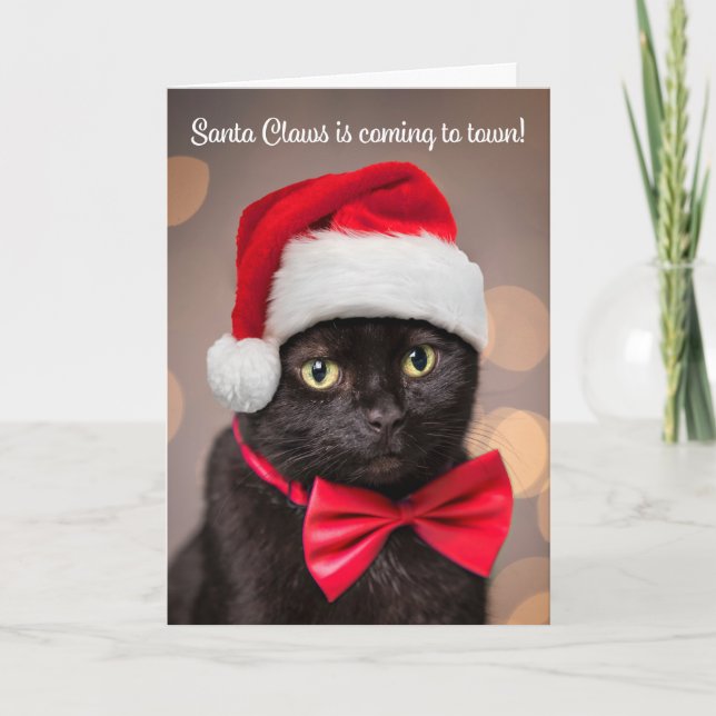 Merry Christmas For Anyone Cat in Santa Hat Humor Holiday Card (Front)