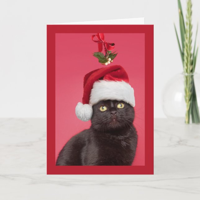 Merry Christmas For Anyone Cat Under Mistletoe Holiday Card (Front)