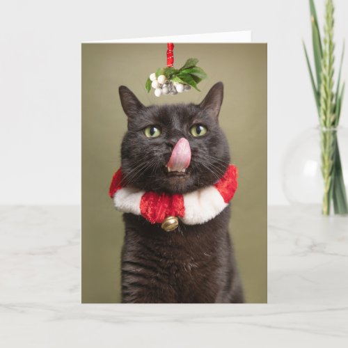 Merry Christmas For Anyone Cat Under Mistletoe wit Holiday Card