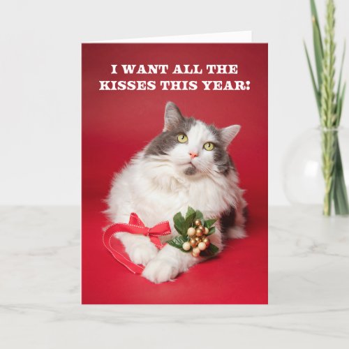 Merry Christmas For Anyone Cat With Mistletoe Holiday Card