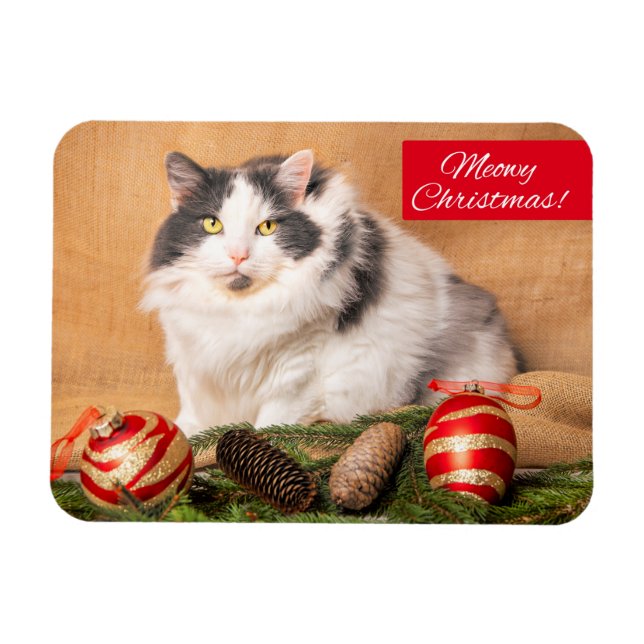 Merry Christmas For Anyone Cute Cat Humor Magnet (Horizontal)