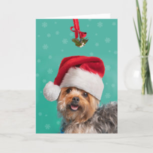 Merry Christmas For Anyone Cute Yorkie Dog Holiday Card