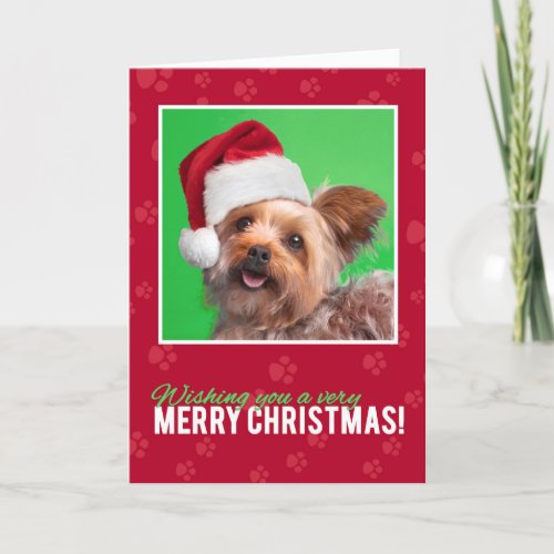 Merry Christmas for Anyone Cute Yorkie Holiday Card